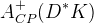 A_{CP}^{+}(D^{*}K)