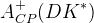 A_{CP}^{+}(DK^{*})