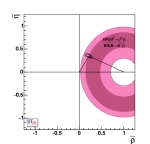 B → ρ/ω γ/B → K* γ