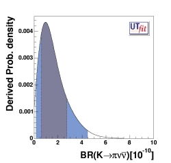 Experimental likelihood for
                                   BR(K → π ν νbar)