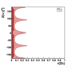 Distribution of r(Dπ) vs 2β+γ